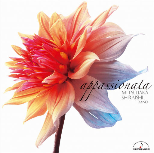 cc乃尤至尊版舞蹈微博
